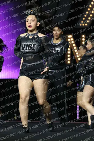 VIBE CHEER ICONS