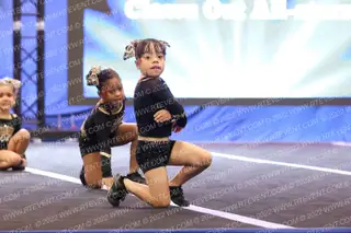Claws Out All-Stars Tiny Cats