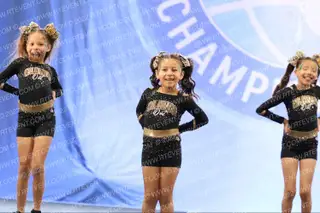 Claws Out All-Stars Mini Cubs