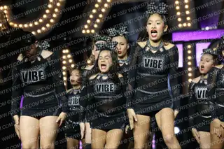 VIBE CHEER ICONS
