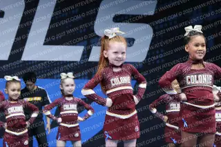 COLONIE WOLF PACK TINY MITES