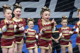 BRICK CHEER D6