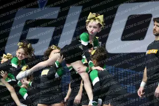 BRICK CHEER D8