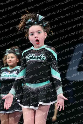 CENTRAL FLORIDA SHARKS TIGER SHARKS