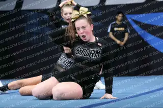 NASHUA PAL STORM VOLTAGE