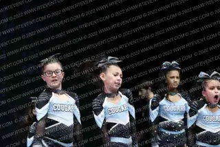 NASHUA COUGARS JUNIORS