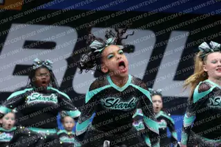 CENTRAL FLORIDA SHARKS HAMMERHEAD SHARKS