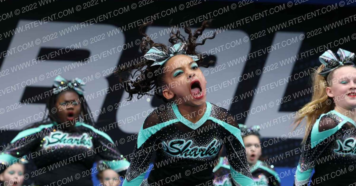 CENTRAL FLORIDA SHARKS HAMMERHEAD SHARKS · YCADA Globals