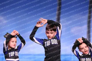 Florida Top Dog All Stars Tiny Tangerine