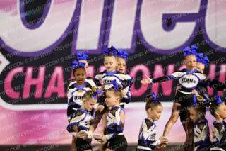 The Stingray Allstars Pebble