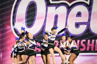 The Stingray Allstars Turquoise