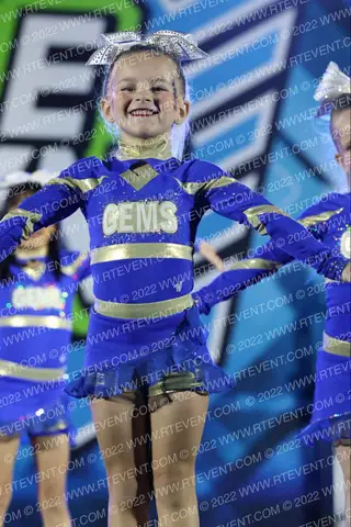 Gold Medal Gems Pebbles
