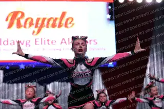 Bulldawg Elite Allstars Bulldawg Elite All Star Dynasty