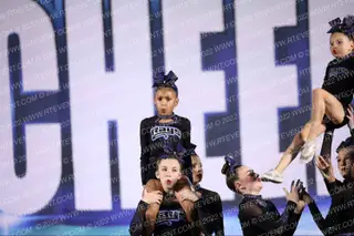 The Stingray Allstars Amber
