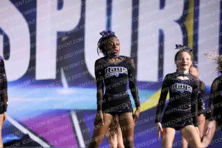 The Stingray Allstars Quartz