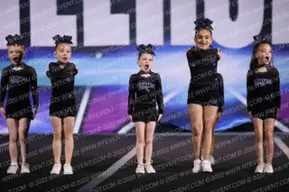 The Stingray Allstars Topaz
