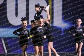 The Stingray Allstars Marble