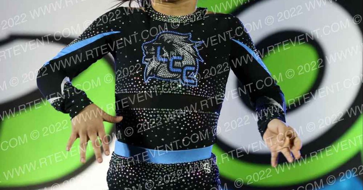 Lions Cheer Company Courage · Double Down St Louis Nationals