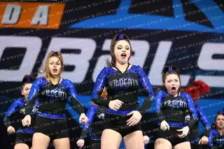 LONDONDERRY WILDCATS