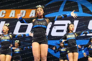PIEDMONT ELITE PANTHERS