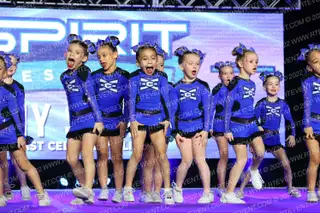 East Celebrity Elite Tiny Shells