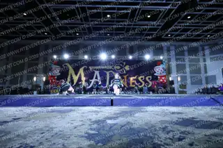 Unleashed Athletics Jaguars