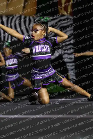 DIAMOND WILDCATS ALL-STARS DWA Cheetah Gems