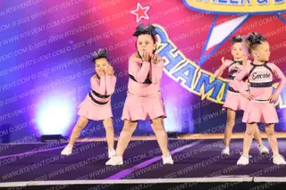 Encore Training LLC Pink Dreams Majesty
