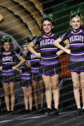 DIAMOND WILDCATS ALL-STARS DWA Panther Emeralds