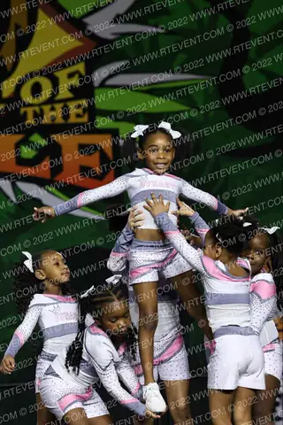Cheer Force Dynasty Blush