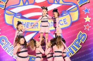 Encore Training LLC Pink Dreams Icons