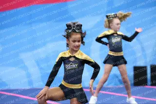 Destiny Allstars Future