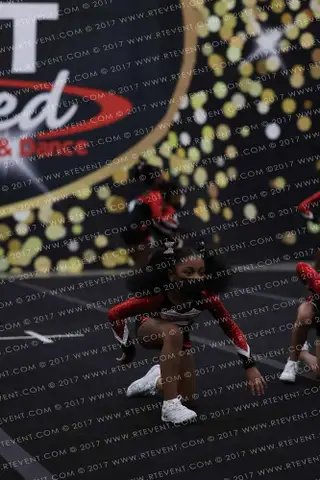 RTC Purr