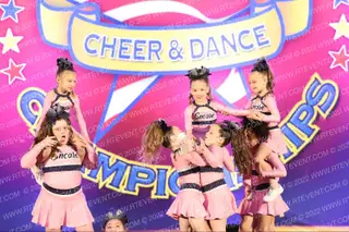 Encore Training LLC Pink Dreams Icons