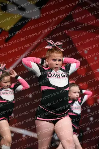 Bulldawg Elite Allstars Bulldawg Elite All Star Dynasty