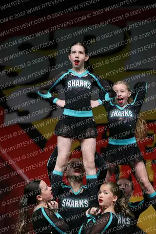 Cheer Sport Sharks Newfoundland Blush Sharks