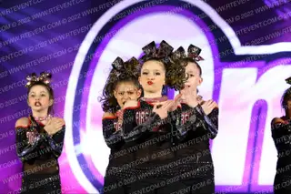 Firehouse Elite Dalmatians