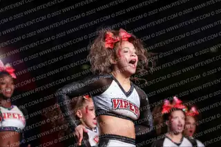 Stars Vipers FIERCE BOAS