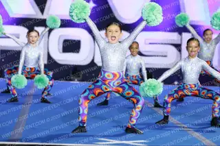GOLDEN STATE ELITE MINI POM DISCO