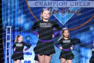 WILD All Stars Icy Cats
