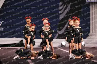 Rock Solid All Stars LIGHT