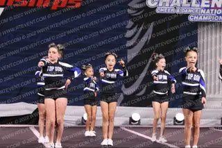 Florida Top Dog All Stars Mini Moonstones