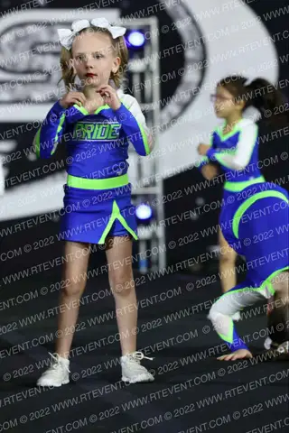Kentucky Pride All-Stars Kittens