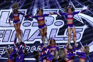 Grand Cheer Purple Reign