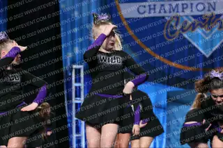 WILD All Stars Diva Cats