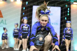 Coast Cheer Hammerheads