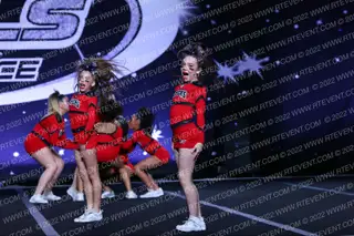 Stars Vipers Battlesnakes