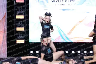 Wylie Elite Mini Majesty