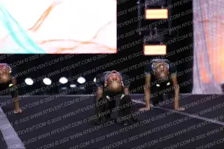 Cheer Athletics - Dallas Poshcats