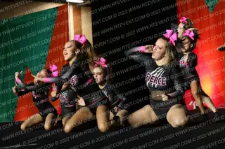 Fierce Leopards